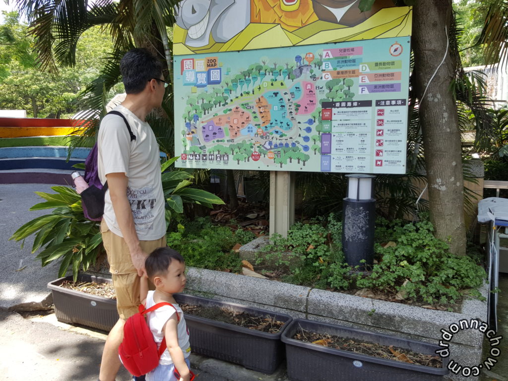 Studying the map in the zoo