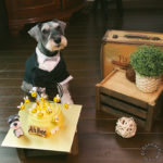 10 golden years